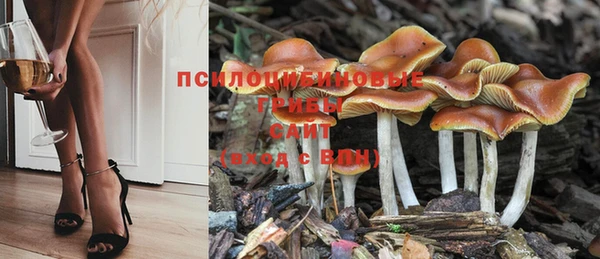 марки lsd Медвежьегорск
