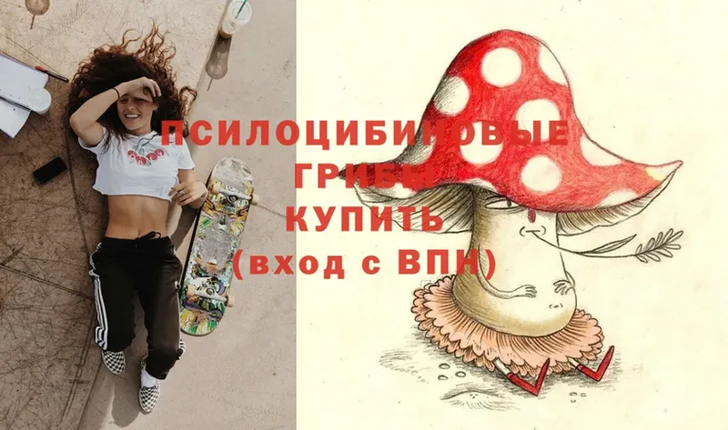 Галлюциногенные грибы MAGIC MUSHROOMS  Карабаш 